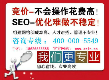 深圳宝安沙二网络推广公司最专业的网络营销外包公司