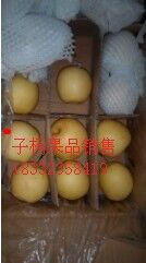 QQ图片20150509135929