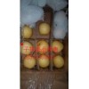 河北赵县雪花梨 皇冠梨产地批发