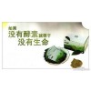 上海酵素进口代理清关行