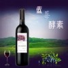 上海进口日本酵素如何清关