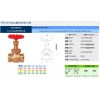台湾RING东光阀门FIG.404砲金铜球型垫片阀