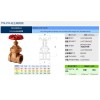 台湾RING东光阀门FIG.450砲金铜闸阀