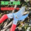 森灞果树修枝剪 园林剪 树枝剪 苹果整枝剪 买就送原装弹簧