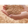 采购高粱、玉米、小麦、大米、稻谷、大豆等原材料