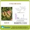 甘草查尔酮A 标准品  分析检测用