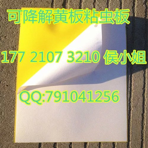 农业粘虫板大棚诱虫板烟草诱虫板果园专用25*15生态粘虫板