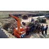 大型铡草机为养牛场提供方便与实惠