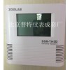 DSR-TH周温度记录仪