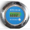 BD-1001XB-ZT轴向数字压力显示表.jpg