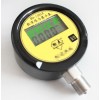 BD-1001X塑料壳数字压力显示表.jpg