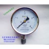 YA100氨压力表.jpg