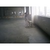 聊城东阿做地下车库普遍采用金刚砂耐磨材料
