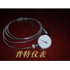 YTPX150带不锈钢软管隔膜压力表.jpg