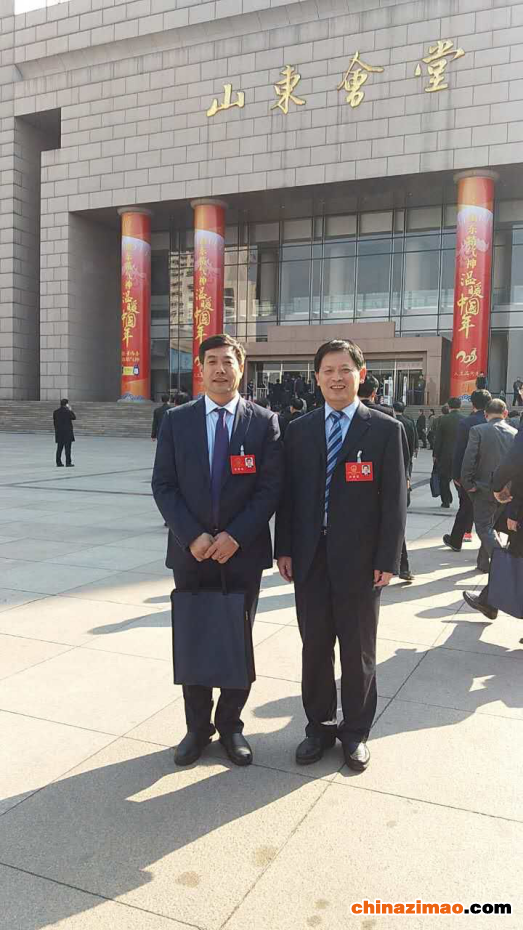 图片4