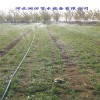 河北微喷带定制批发 海兴县黑色水带保质保量