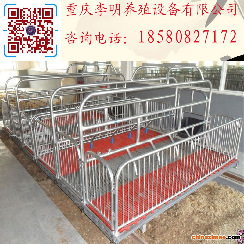 猪床8