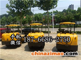 1 三吨半单钢轮压路机 (1)