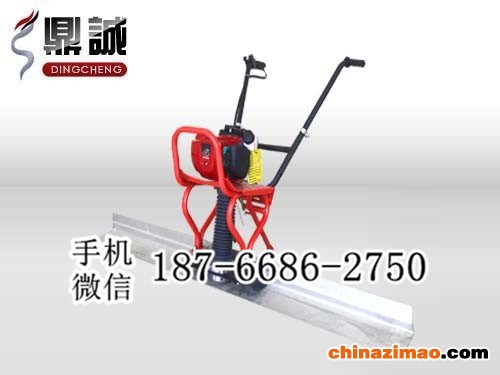 2 混凝土振动尺   (4)