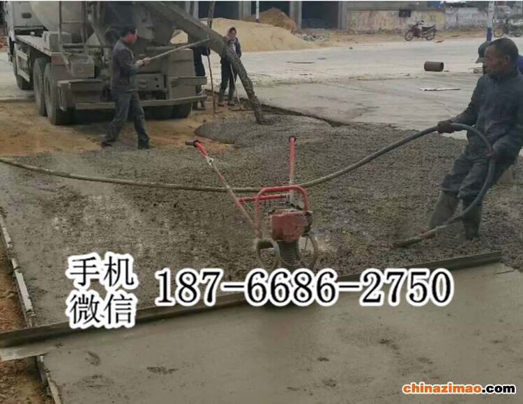 2 混凝土振动尺   (8)