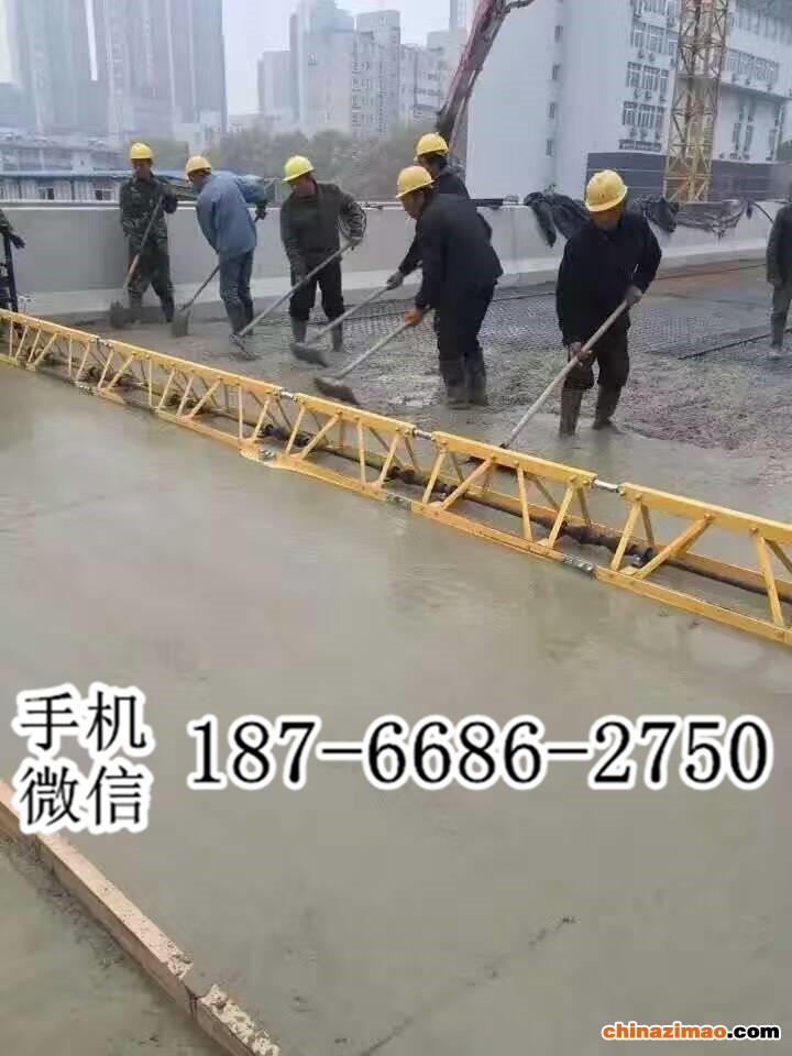 3 框架式振动梁  (4)