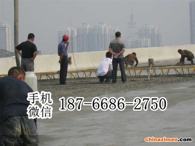 3 框架式振动梁  (10)