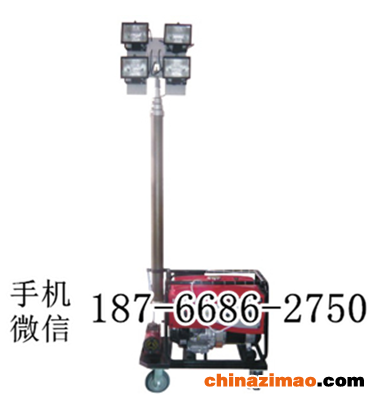 10  工程照明车 (1)