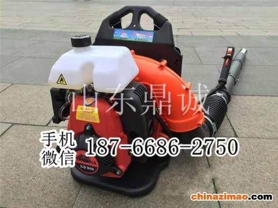 4 DCCF65.5 背负式吹风机 (2)