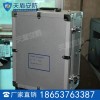 电动式呼吸器校验仪技术参数 电动式呼吸器校验仪图片