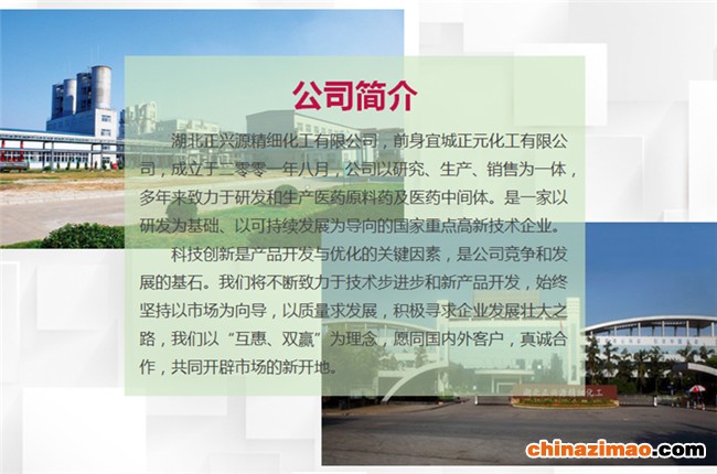 0-2-公司简介