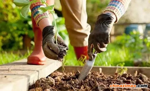 微信图片_20180323213538