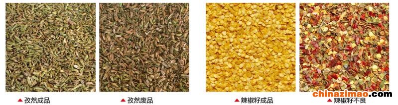 小茴香色选机