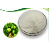 宏兴食品级酶制剂木瓜蛋白酶添加量