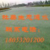 有了透水地坪，下雨天再也不害怕出门了！