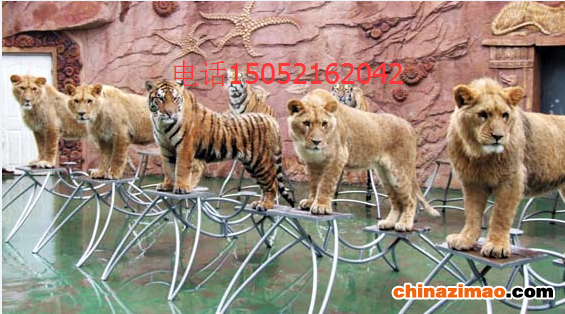 0E8}XZDHP0GSJOFIKB51BUR