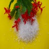 透明PVC塑胶原料耐高温PVC雾面塑料颗粒封边条颗粒数据线