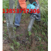 电动挖树机 掘苗修坨收底断根整枝一次完成起苗机