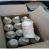 茅台镇坛子酒价格优惠
