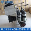 CHZK4/6.8F/30卧式移动供气源车载式空气呼吸器图片
