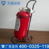 推车式干粉灭火器价格 天盾推车式干粉灭火器图片