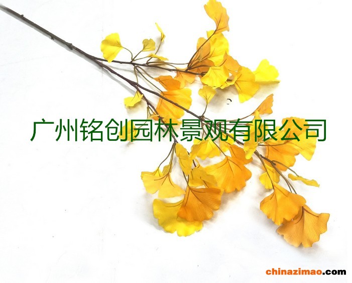 树叶