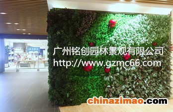植物墙1