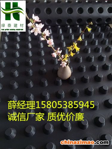 排水板245