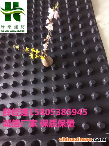 排水板252