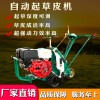 鼎诚供应草坪移植机小型手推式起草机 大功率汽油铲草皮机