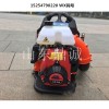 鼎诚供应小型汽油吹风机手提式道路养护吹风机价格