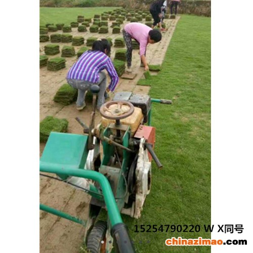 起草皮机4