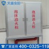 泡沫消火栓箱产品介绍 天盾泡沫消火栓箱