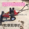 草坪割草机价格 新款小型园林草坪剪草机厂家 手推除草机报价