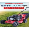 新款草坪剪草机图片 汽油除草机价格 手推草坪汽油割草机厂家